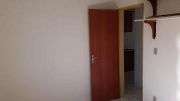 Alugar Apartamentos / Apartamento em Ribeirão Preto R$ 500,00 - Foto 15