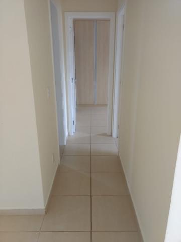 Apartamentos / Apartamento em Ribeirão Preto 