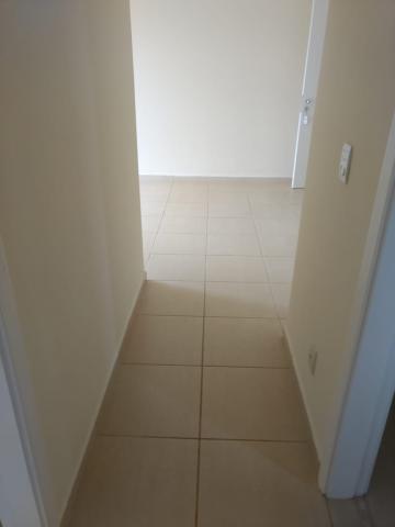 Alugar Apartamentos / Apartamento em Ribeirão Preto R$ 1.100,00 - Foto 12