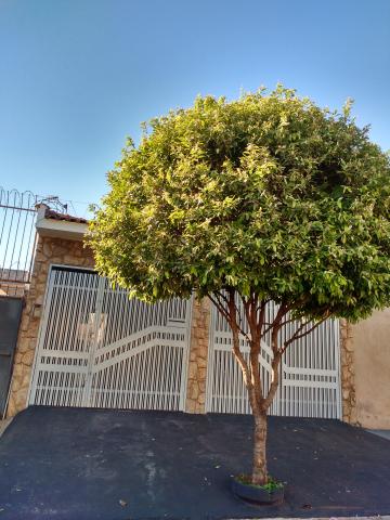 Alugar Casas / Casa em Ribeirão Preto R$ 1.900,00 - Foto 12