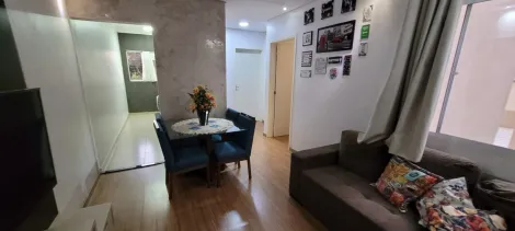 Apartamentos / Apartamento em Ribeirão Preto 